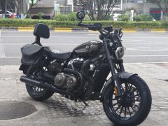 Benda Chinchilla 250 - photo 6