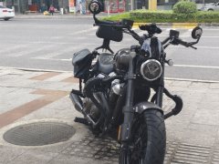 Benda Chinchilla 250 - photo 8