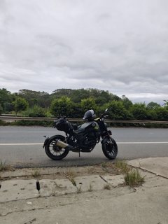 Benelli Leoncino 250 - ფოტო 2