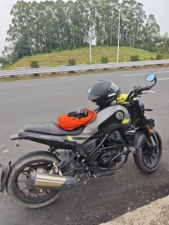 Benelli Leoncino 250 - ფოტო 3