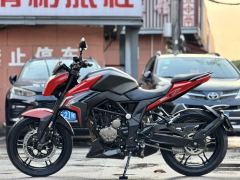 Voge 300R - ფოტო 7