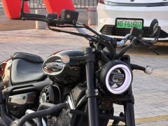 Benda Chinchilla 350 - photo 7