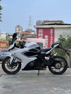 QJMOTOR SRK 250 - ფოტო 4