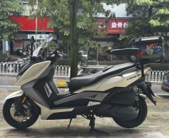 Ariic 318 300 cc - photo 2