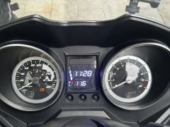 Ariic 318 300 cc - photo 6