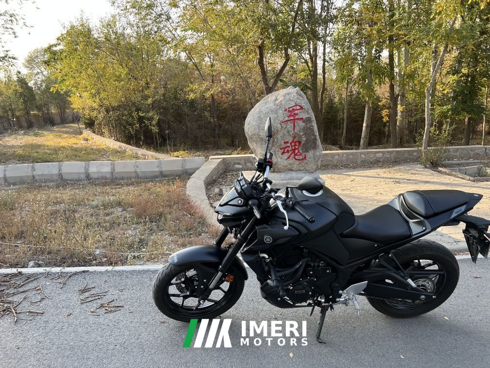 2022 Yamaha MT-03 320 cc