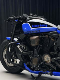 Harley-Davidson Sportster S 1250 cc - ფოტო 8