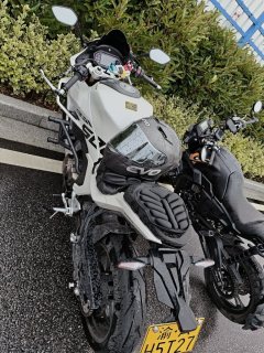 QJMOTOR Roewe i5 550 / Sai 550 *(Context-dependent, usually referring to the motorcycle "Sai 550" or Roewe car v - photo 3