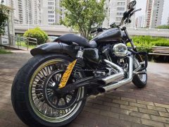 Harley-Davidson 1200 Custom - ფოტო 11
