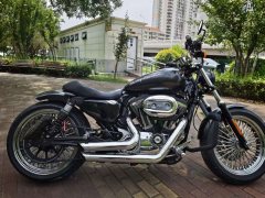 Harley-Davidson 1200 Custom - ფოტო 2