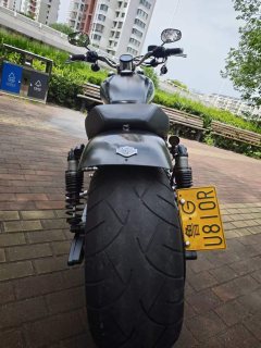 Harley-Davidson 1200 Custom - ფოტო 6
