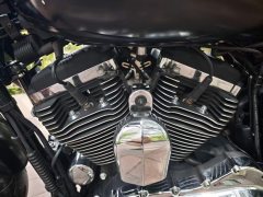 Harley-Davidson 1200 Custom - ფოტო 8