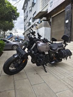 Changjiang Bobbie Ⅱ 450S - ფოტო 8