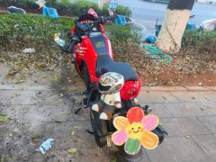 QJMOTOR 150 cc - ფოტო 2