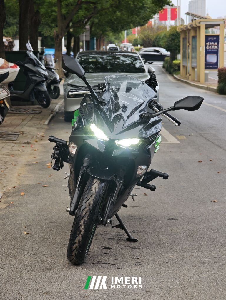 2024 Kawasaki Ninja 500 450 cc