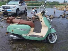 Weiduoliya Sixties 150Si - photo 2