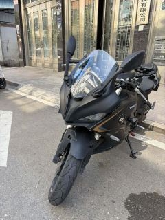 QJMOTOR SRK 250 - фото 1
