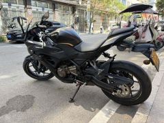QJMOTOR SRK 250 - фото 3