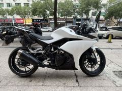 Kayo 250RR Thornbird - ფოტო 2