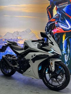 Kayo 250RR Thornbird - ფოტო 1