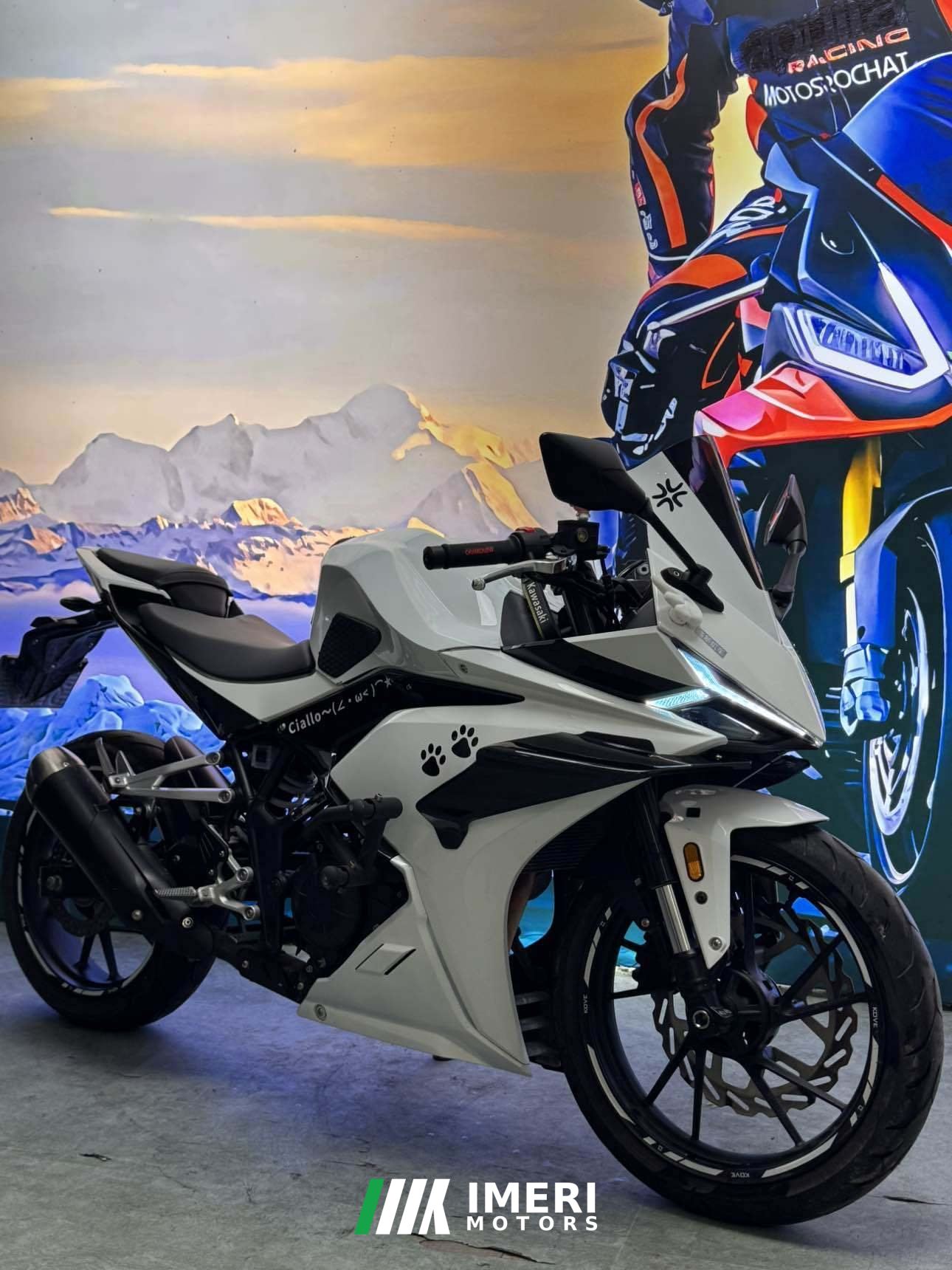 2024 Kayo 250RR Thornbird