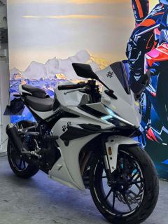 Kayo 250RR Thornbird - ფოტო 2
