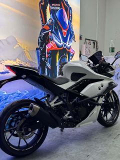 Kayo 250RR Thornbird - ფოტო 3