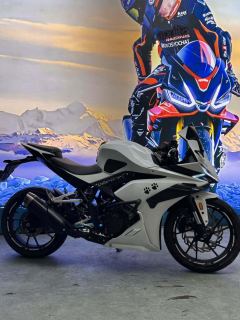 Kayo 250RR Thornbird - ფოტო 4