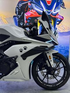Kayo 250RR Thornbird - ფოტო 5
