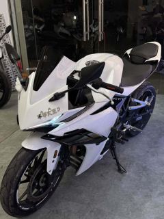 Kayo 250RR Thornbird - ფოტო 6