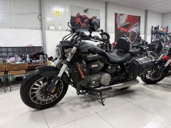 Benda Polestones 03 Gray 300 cc - ფოტო 3