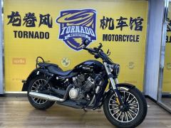 Benda Polestones 03 Gray 300 cc - photo 1