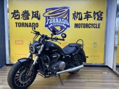 Benda Polestones 03 Gray 300 cc - photo 3