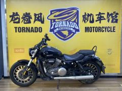 Benda Polestones 03 Gray 300 cc - photo 4