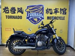 Benda Polestones 03 Gray 300 cc - photo 6