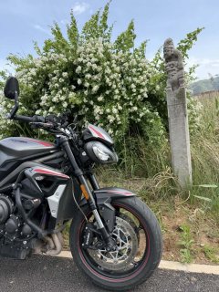 Triumph Street Triple 765 - ფოტო 5