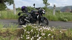 Triumph Street Triple 765 - ფოტო 7