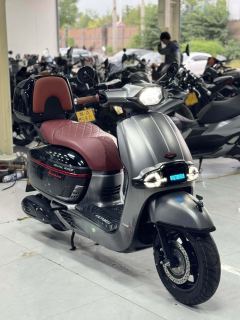 Weiduoliya Sixties 150Si - ფოტო 2