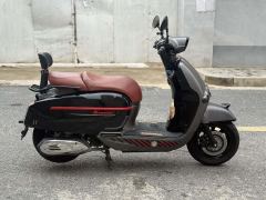Weiduoliya Sixties 150i - ფოტო 3