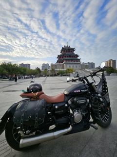 Benda Polestones 03 Gray 300 cc - ფოტო 3