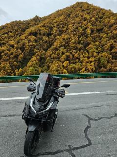 Voge SR250GT - фото 2