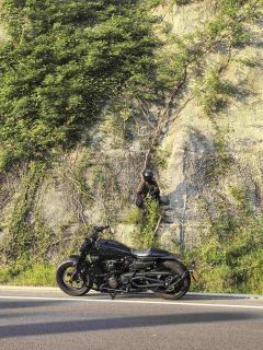 Harley-Davidson Sportster S 1250 cc - фото 4