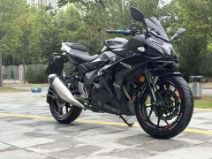 Haojue Suzuki GSX250R - photo 4