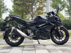 Haojue Suzuki GSX250R - photo 6