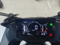 Kayo 250RR Thornbird - ფოტო 9