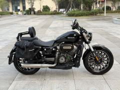 Benda Polestones 03 Gray 300 cc - photo 2