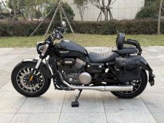 Benda Polestones 03 Gray 300 cc - photo 8