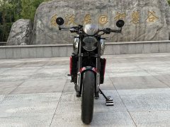 Triumph Trident 660 - ფოტო 9
