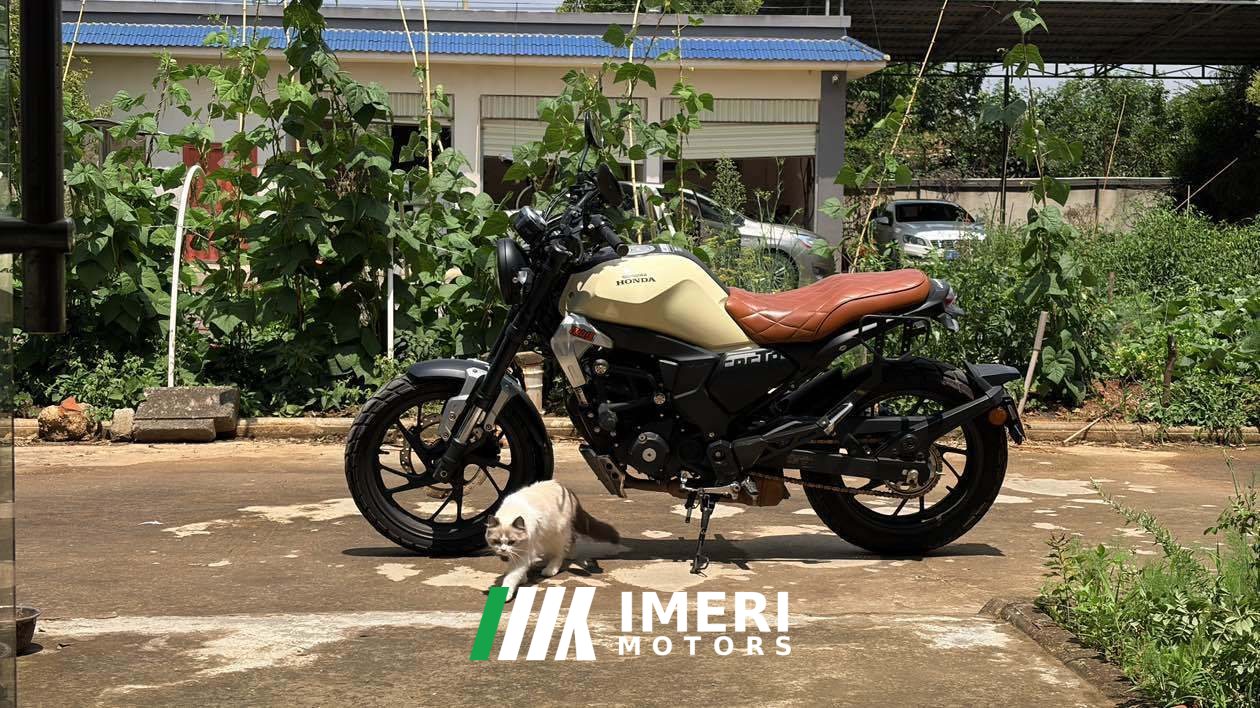2021 Sundiro Honda CBF190TR