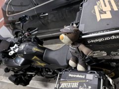 Voge DS525 500 cc - фото 2